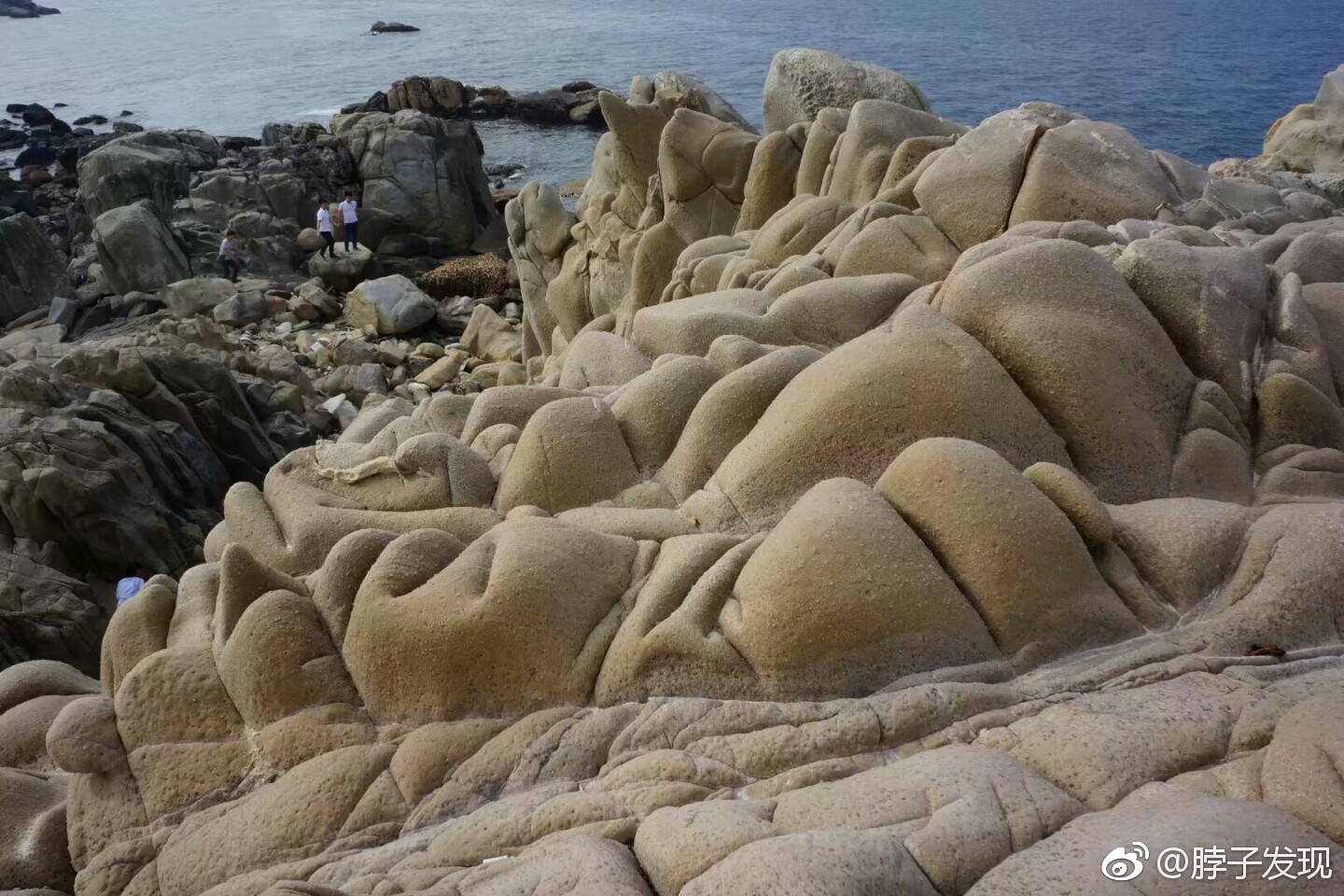 广东惠来客鸟尾海岸边的石笋奇观形态各异的石头