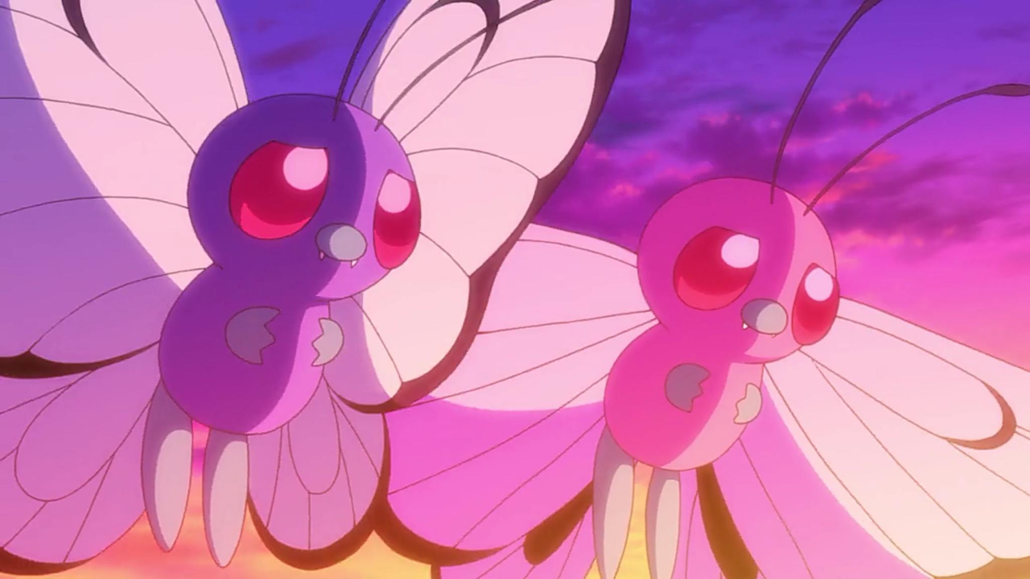 小智有12只飞行系神奇宝贝第1只跟女朋友走了最后1只喜欢被虐