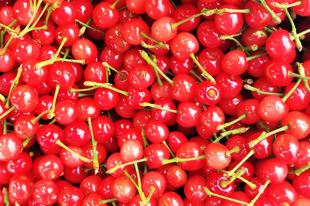 小樱桃大量上市 价格差异悬殊 40块钱一斤的抢手 价格低的卖的慢