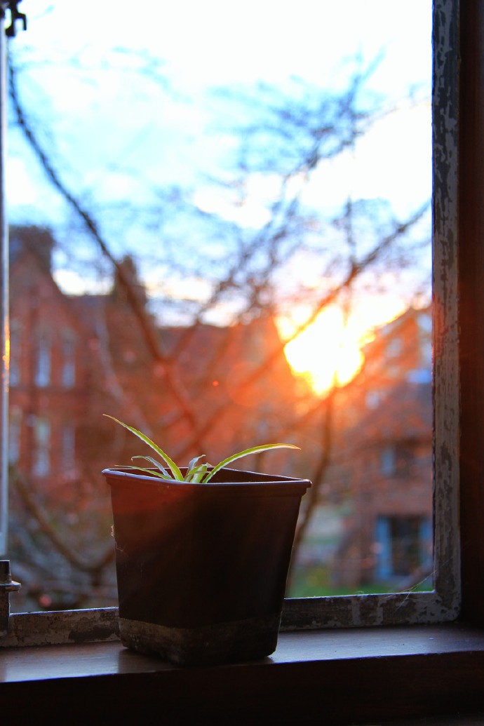 夕阳无限美,滋生小忧愁