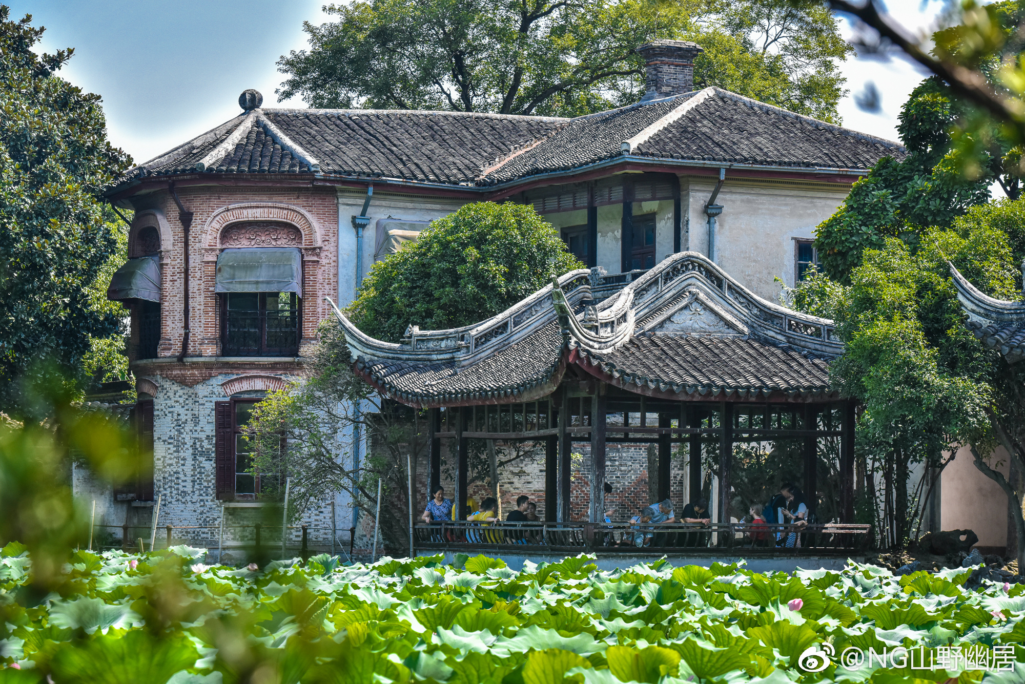 苏州园林以及欧式建筑于一体的特色园林|小莲庄|园林|南浔古镇_新浪