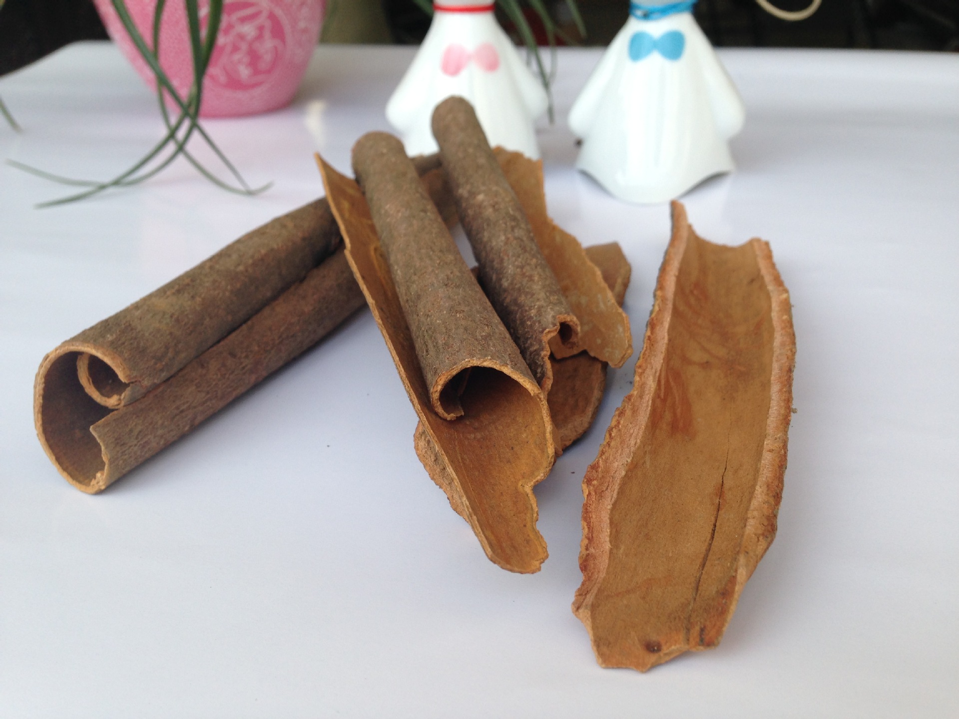 每天学一味中药:肉桂—治沉寒痼冷,散寒止痛,通经脉,温煦气血