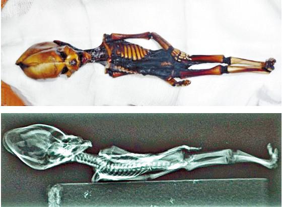 远古生物?阿塔卡马现奇异木乃伊