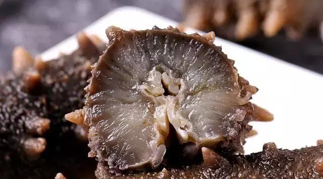 海参|沙嘴|内壁_新浪网