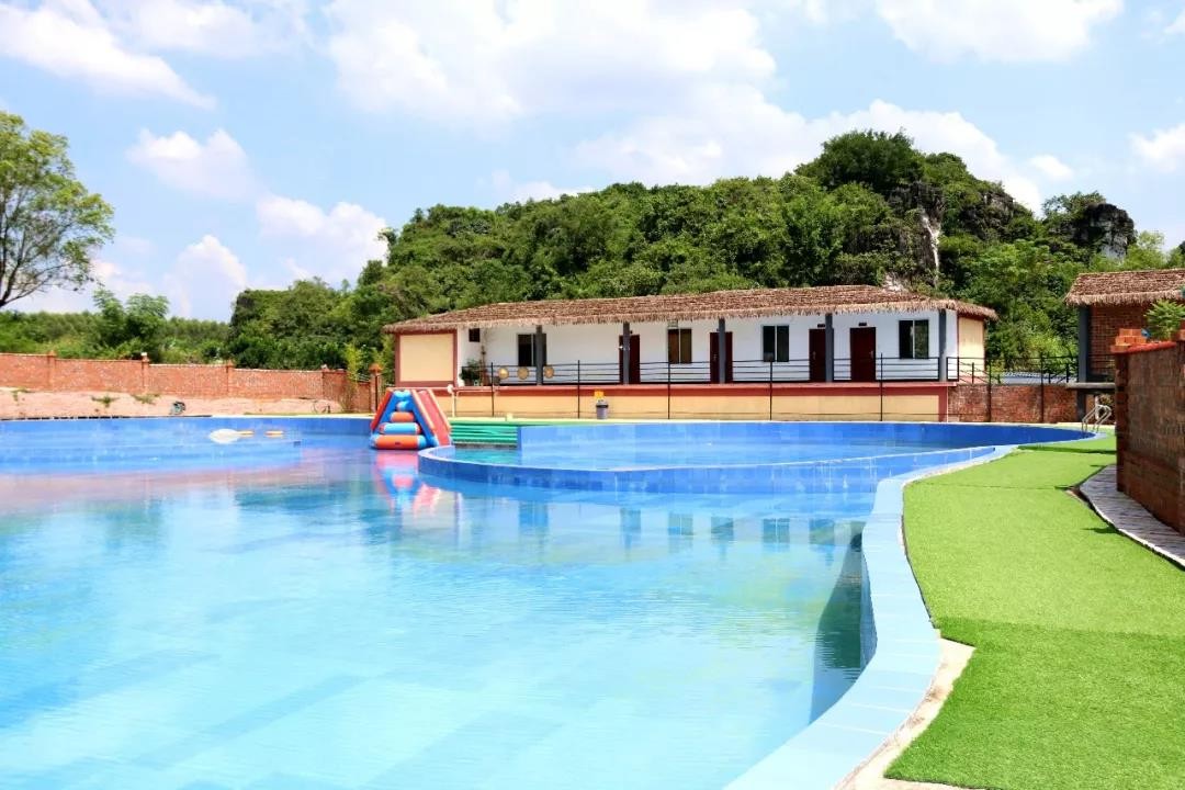 南曦朝阳释活力 幸福苏圩展新颜