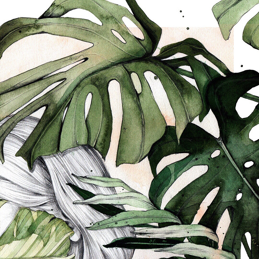 chloehawker水彩绿植作品展