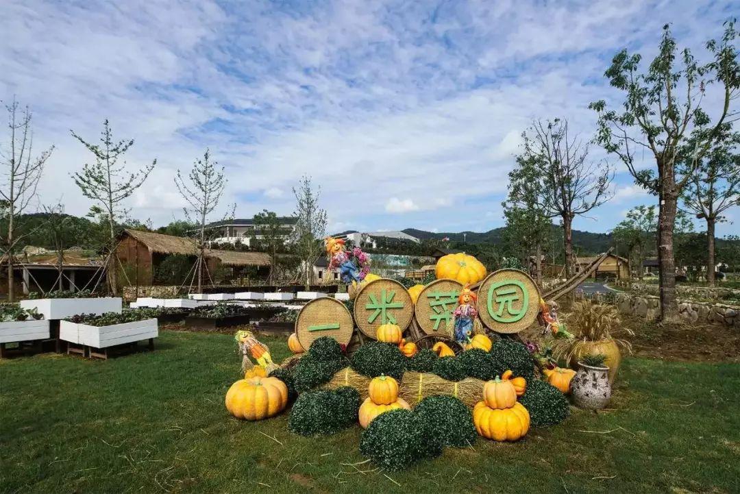 纯观光不可行,多功能是方向 大众旅游休闲时代,游客已经不仅仅满足于