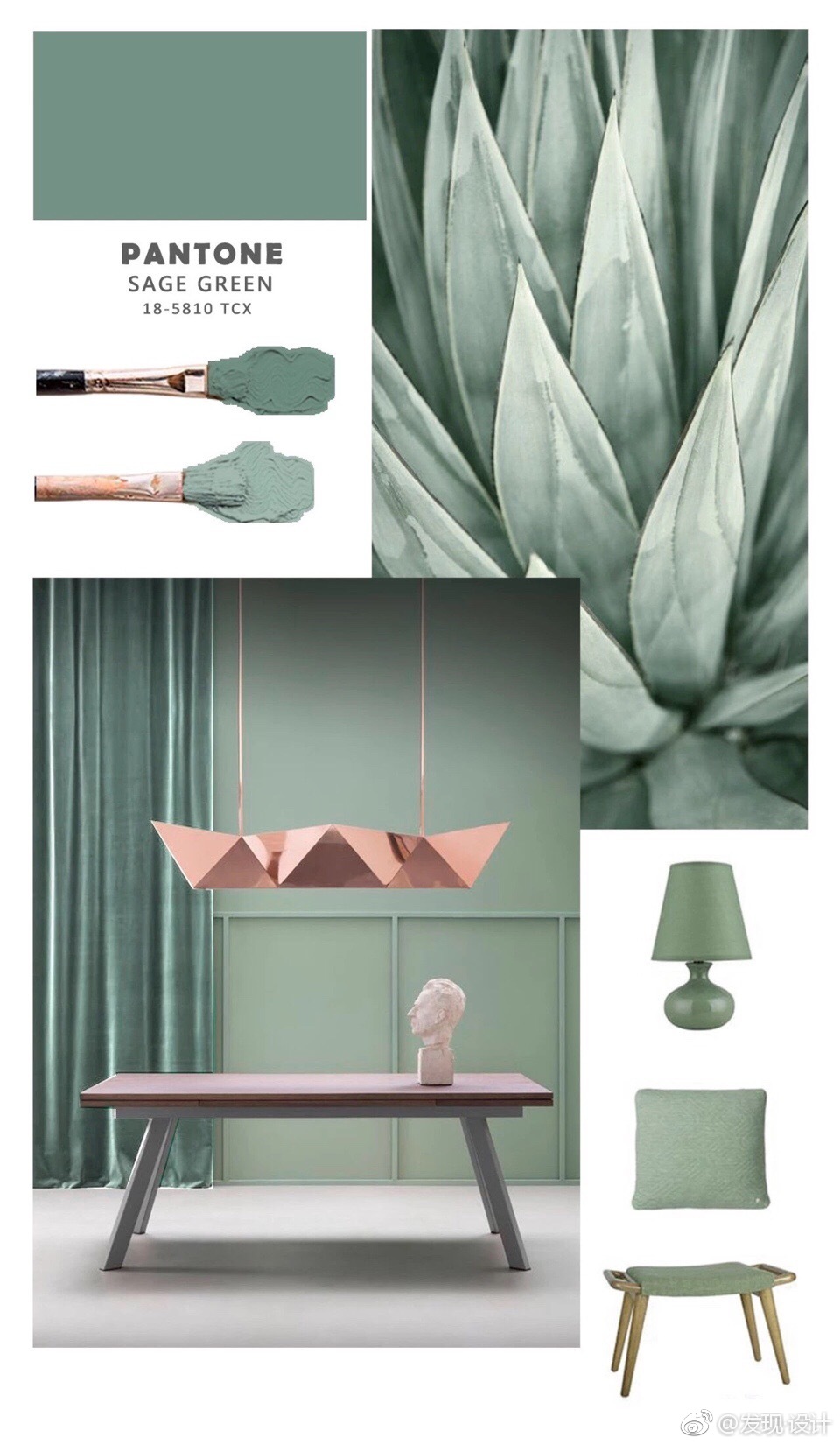 鼠尾草绿 Sage Green 鼠尾草绿 Sage Green