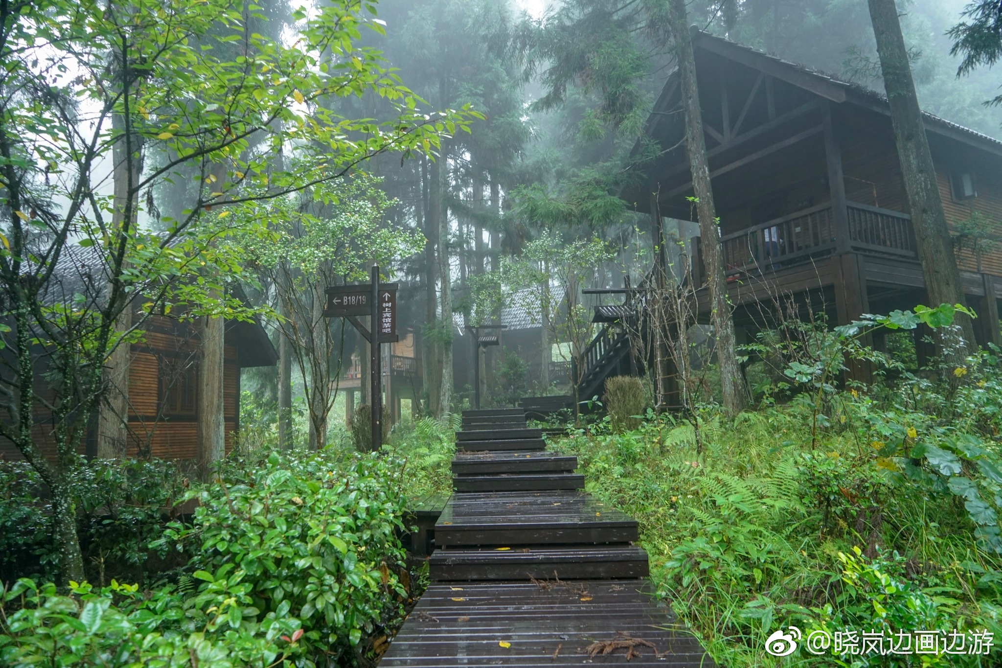 这两天住在恩施坪坝营的森林小木屋,秘境般的感觉,很幽深,很静谧