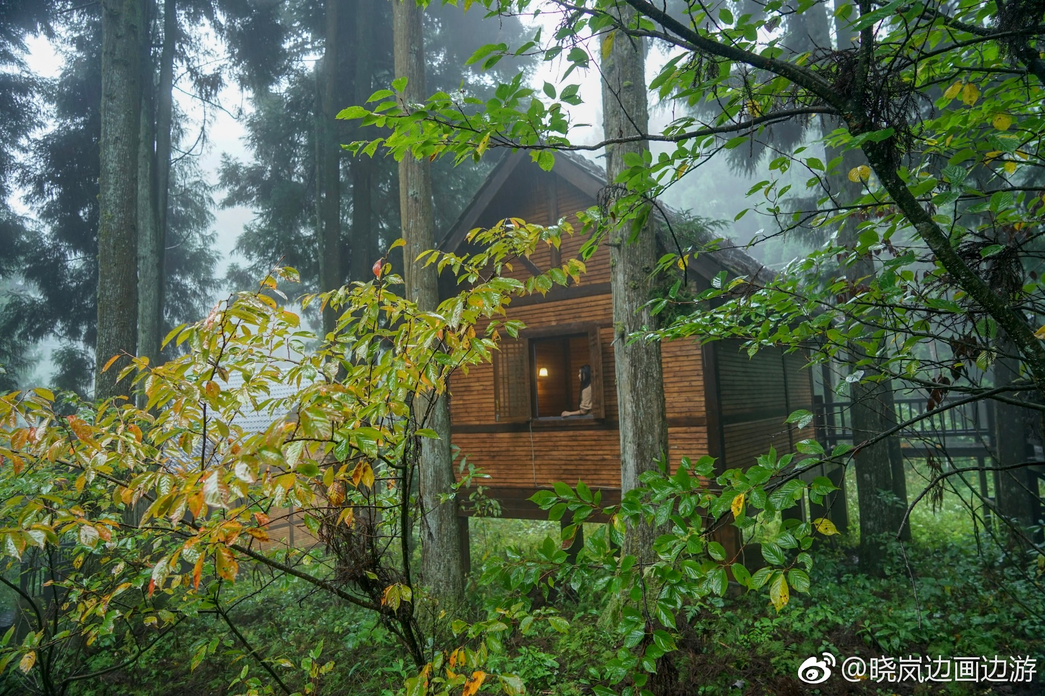 这两天住在恩施坪坝营的森林小木屋,秘境般的感觉,很幽深,很静谧