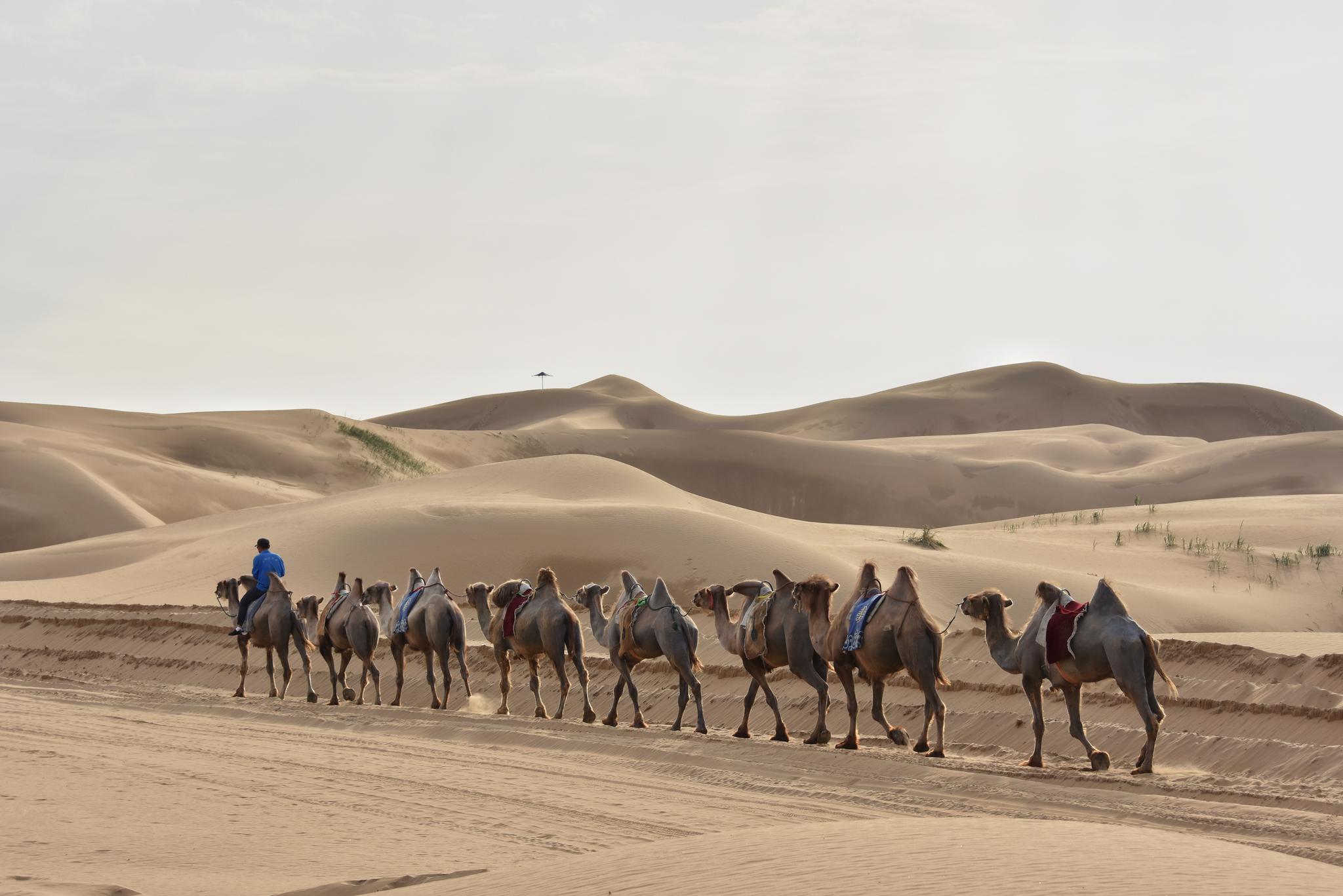 内蒙响沙湾沙海里的度假时光