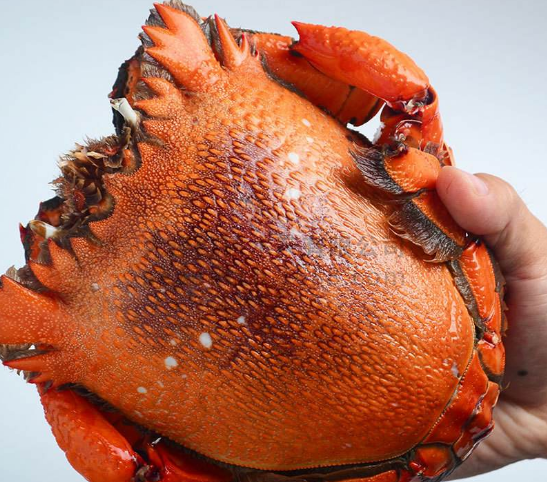 长相怪异,像蟹又像虾,看上去让人有点害怕,殊不知却是一道美味