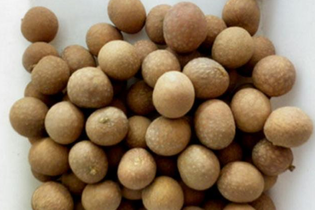 世上最奇葩的水果排行第三种太奇葩你吃过几种