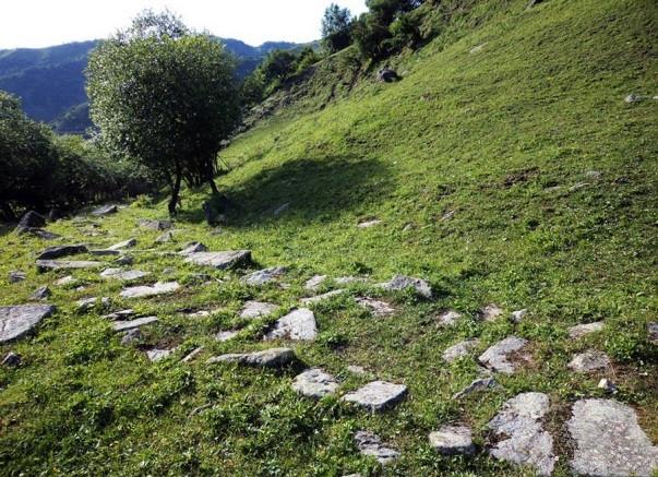 丝绸之路之关陇大道,时下绿野山花正值游!