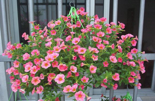 好产品适合人群推荐