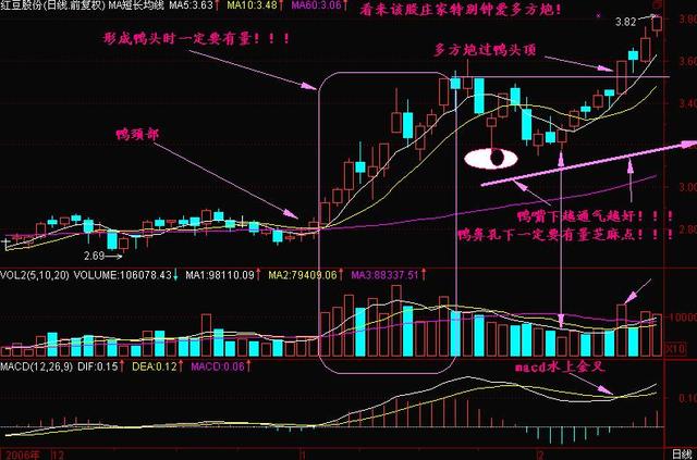 炒股多年的老股民经验分享干货股市老鸭头形态简单易懂