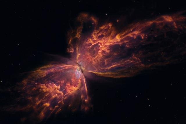 ngc 6302是一个行星状星云, 距地球大约3800光年.是濒死恒星的产物.