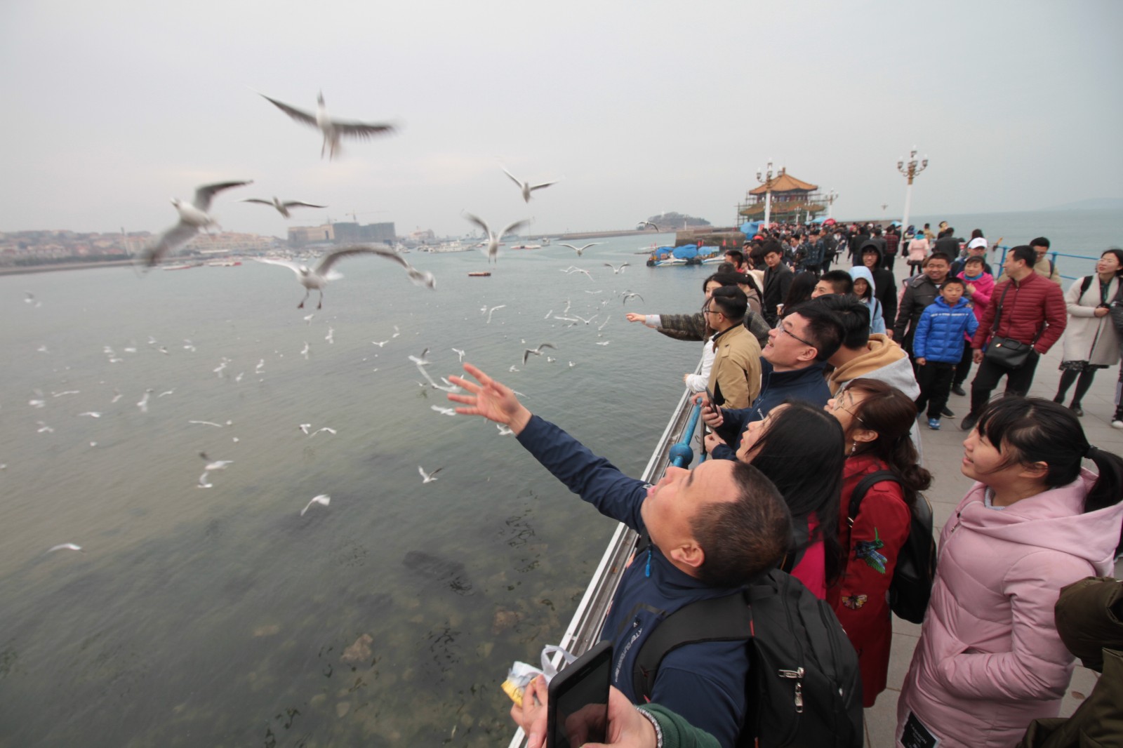 冷空气难挡游客热情,清明首日青岛栈桥爆满