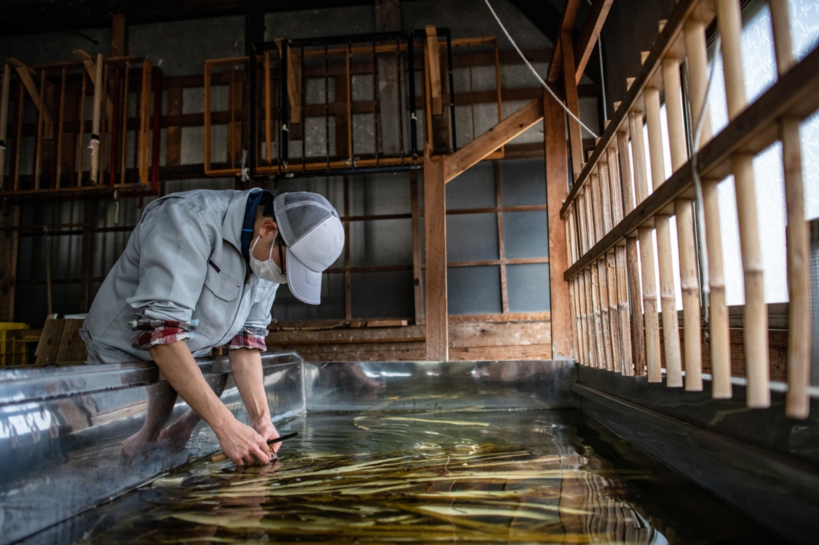 快速强韧头发洗发水