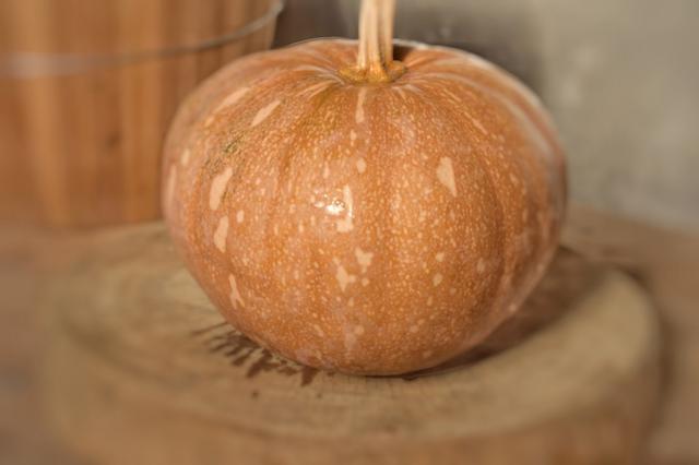 教你一个南瓜的别样做法,吃起来口感就是不一样,小孩特爱吃!