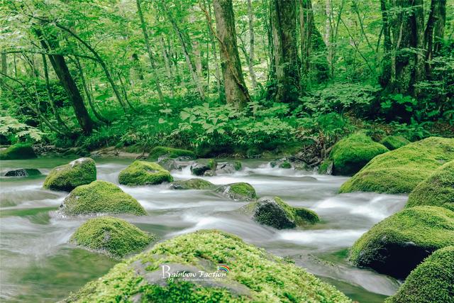 日本青森奥入濑溪流,简直就是宫崎骏《龙猫》的真实场景还原地!