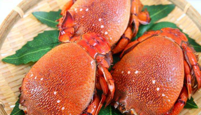 螃蟹也分大主壳及小尾壳两部分,但螃蟹的小尾壳收藏在腹下,不易被发觉