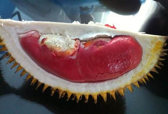 活久见!红色榴莲肉啥品种?吃起来味道怎么样?