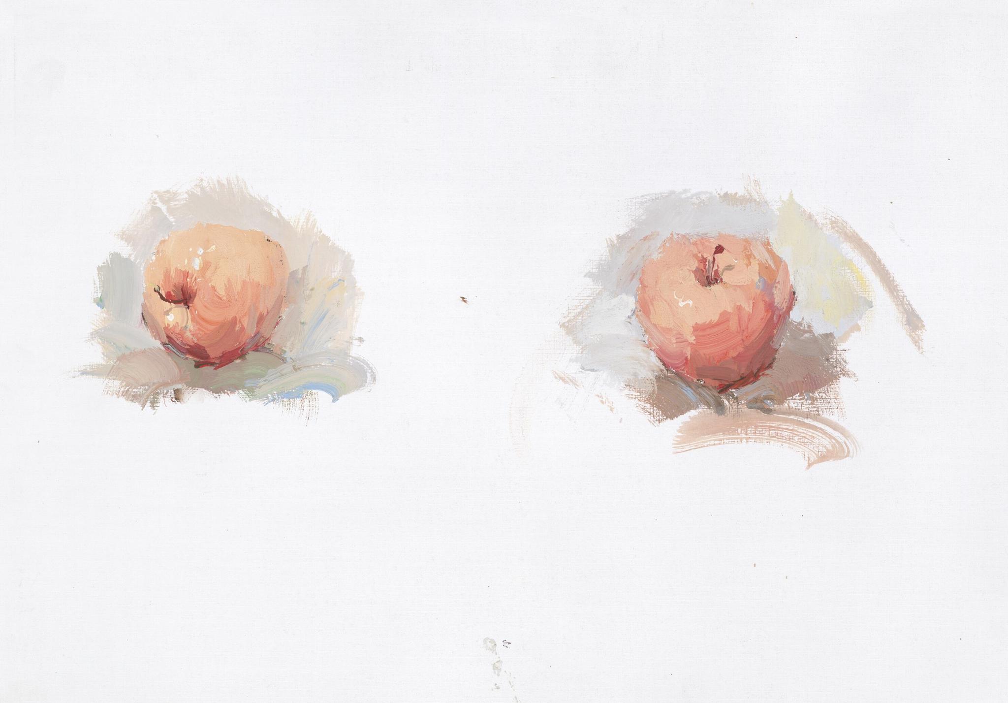 水粉单体静物示范