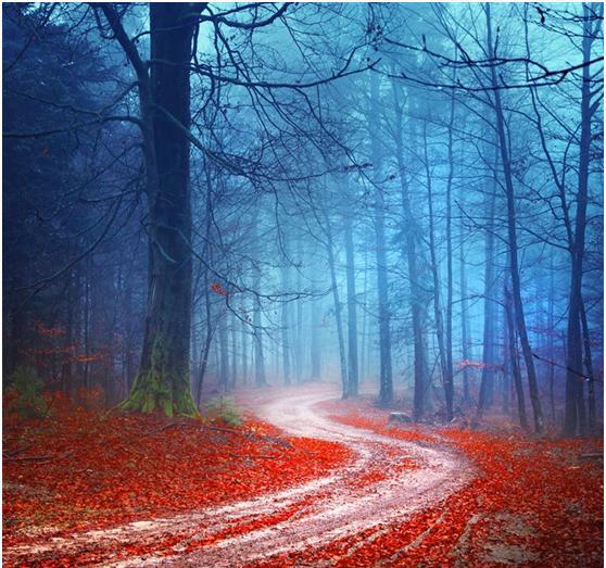 心理学:凭直觉选择一条小路,测出你现在的恋情是福是劫?