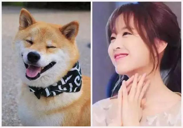 身高158, 多次合作当红男神的她, 却是韩国公认的犬系女友