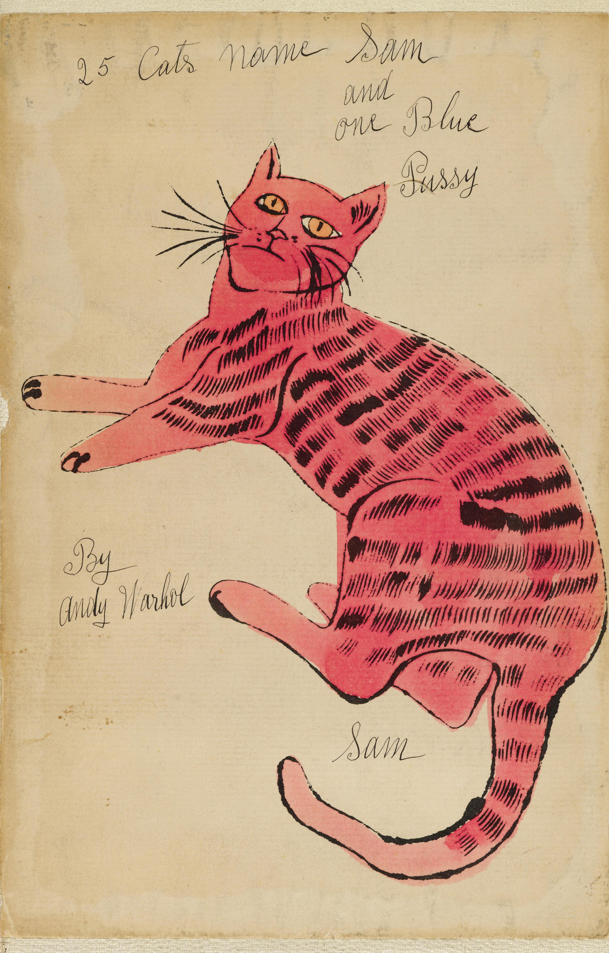 猫安迪沃霍尔andywarhol