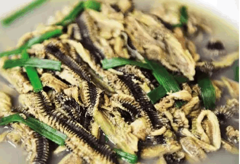 海蜈蚣莆田有个说法"初一糕,初二粽……初五面",其