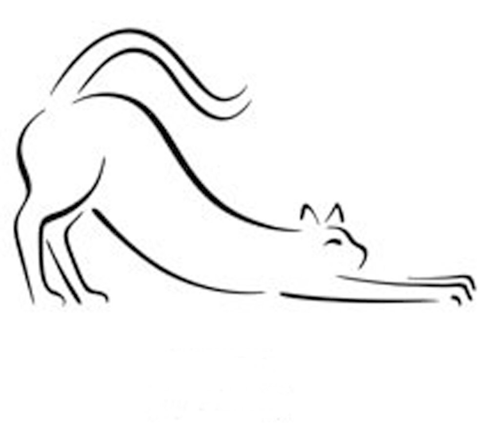 毕加索的简单线条