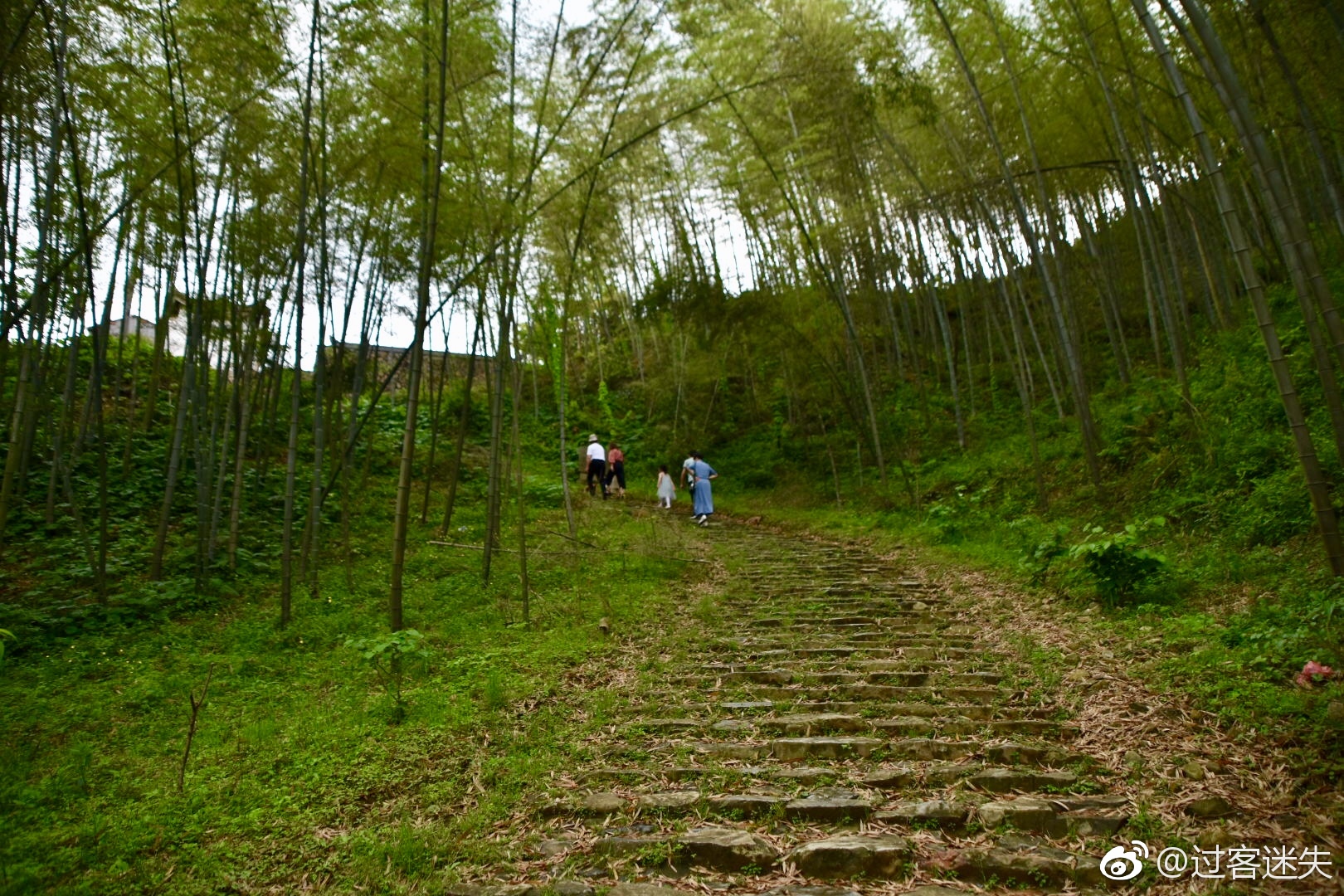 栝苍古道始拓于东汉至南朝公元25562年此古道穿于山林