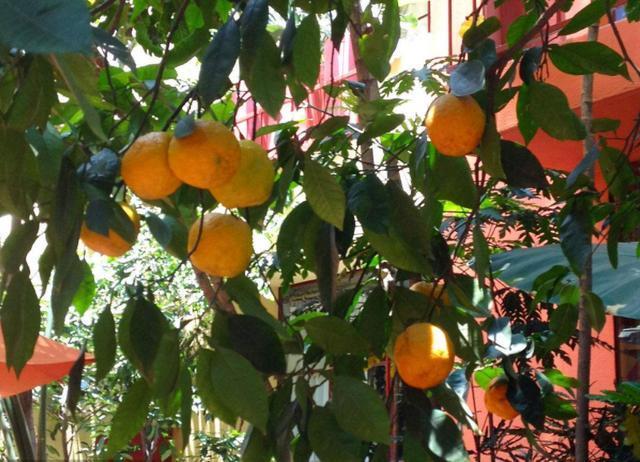 急出售个人私家车个人家用车