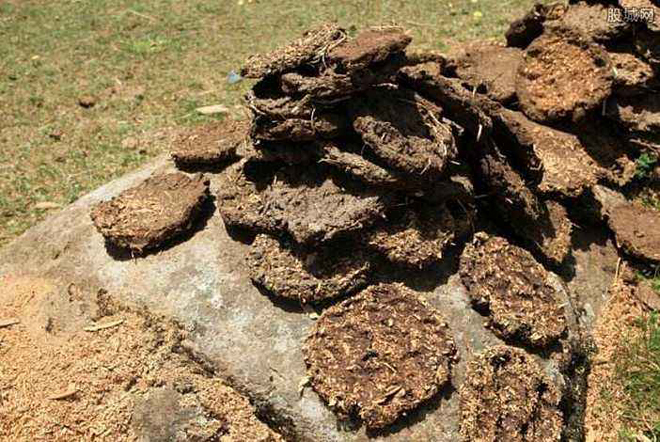 农村俗语"姑父姨夫不是亲,牛屎马屎不是粪",说的是什么意思?