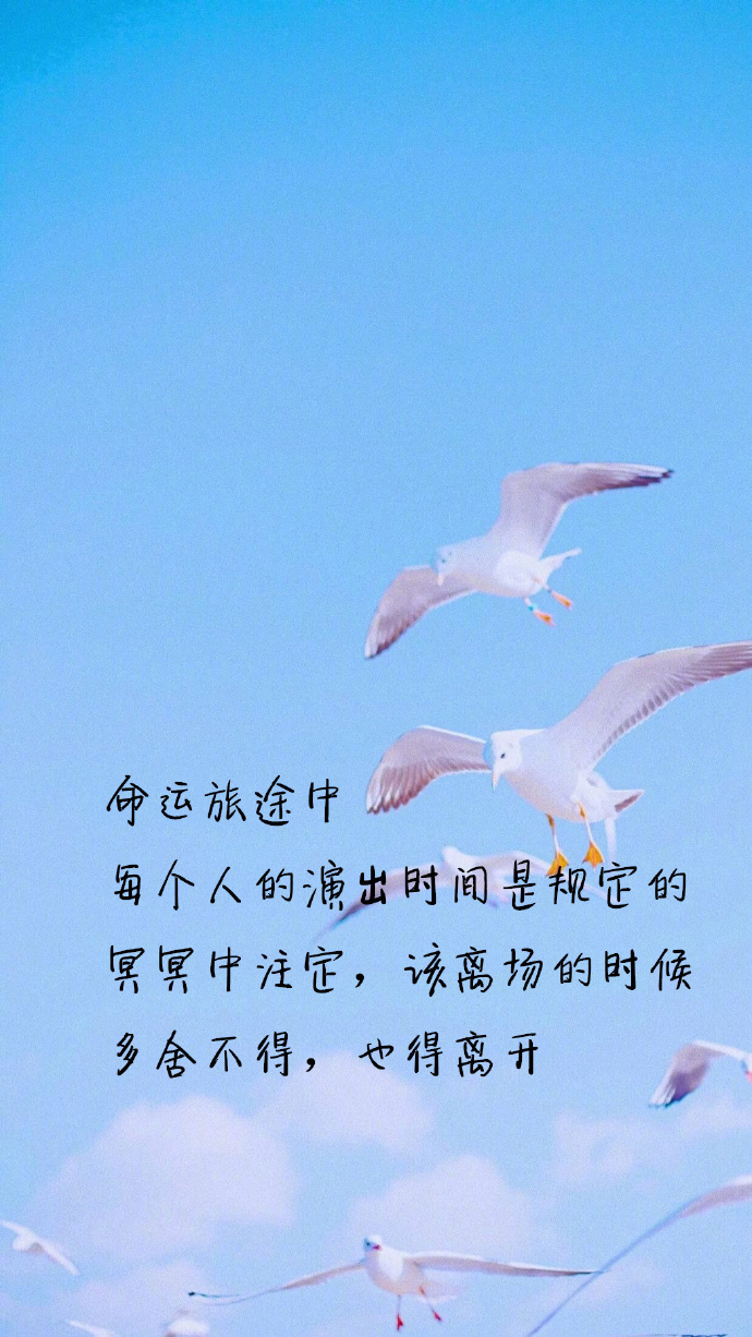 最理想的生活干净的圈子规律的生活中意的人676767