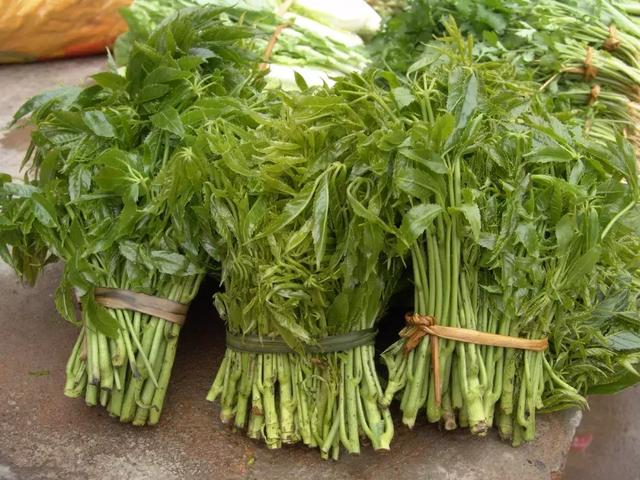 素炒凉拌炖清汤 山珍这样做:一份鲜美野味就靠它|鸡枞|蒜瓣|山珍_新浪