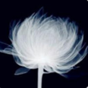 22岁大男孩金韩彬,清爽可爱并超级有才华,一首