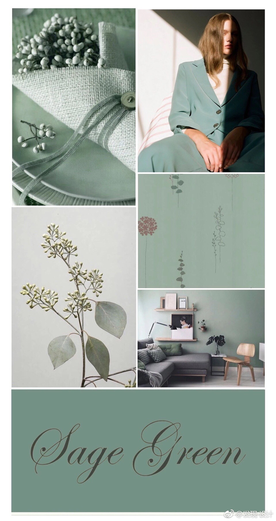 鼠尾草绿 Sage Green 鼠尾草绿 Sage Green