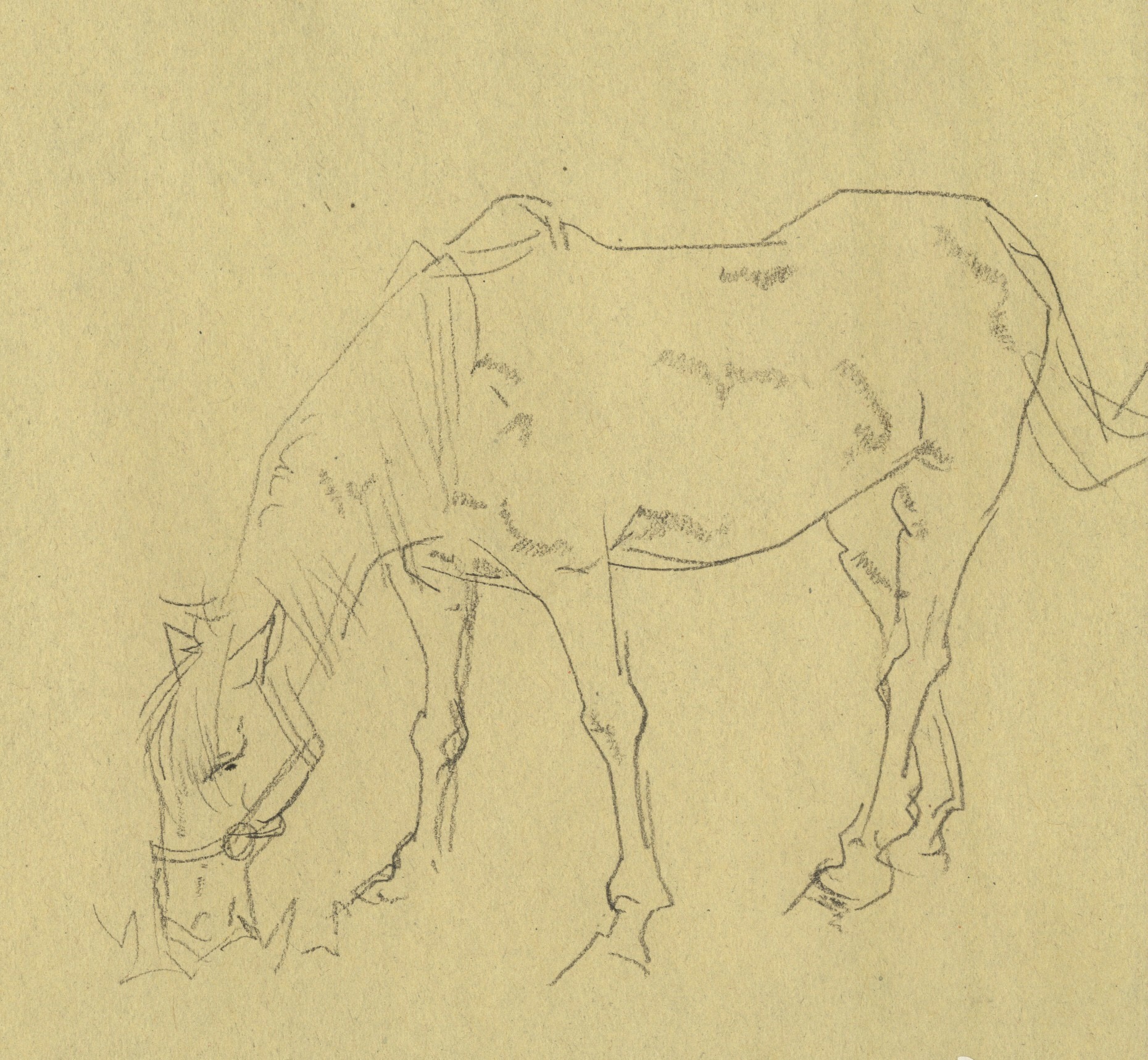 寻找当代考前培训速写中失去的趣味性