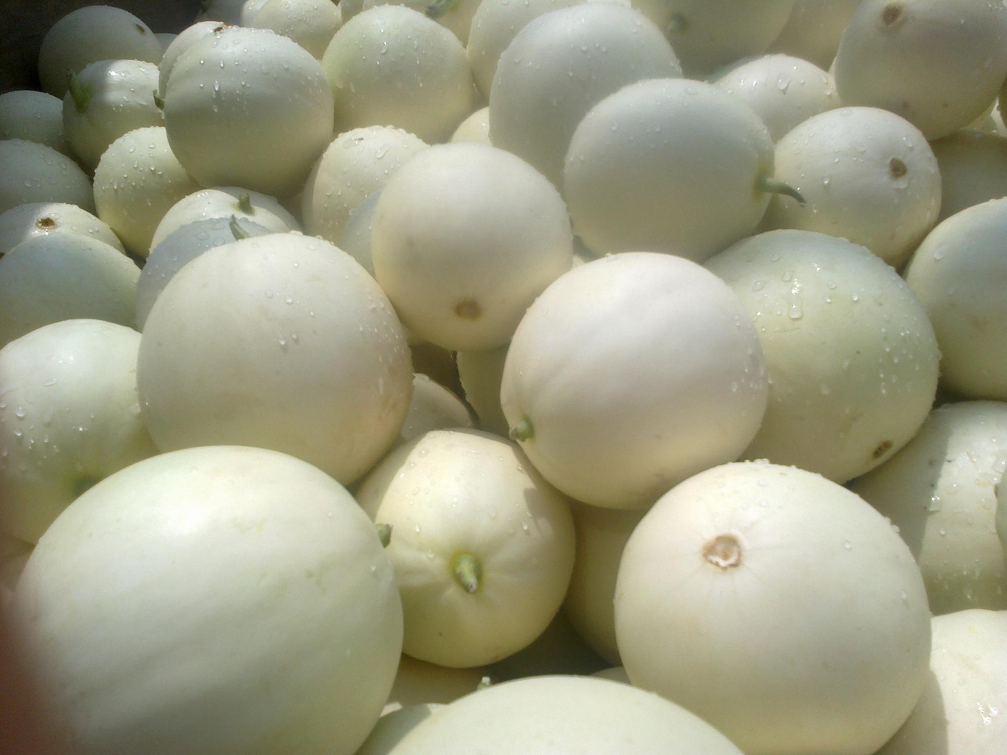 《本草纲目》称甜瓜味甘于诸瓜,故得甘甜之名,消暑,解渴,利尿