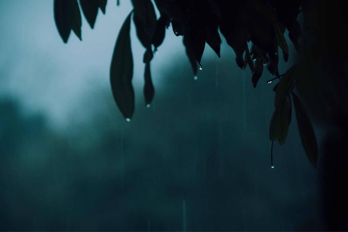 落雨听禅 …_新浪看点