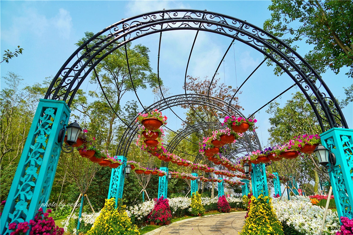 常州茅山花谷奇缘景区精心打造了花神园古典法国花园梦幻荷兰花园