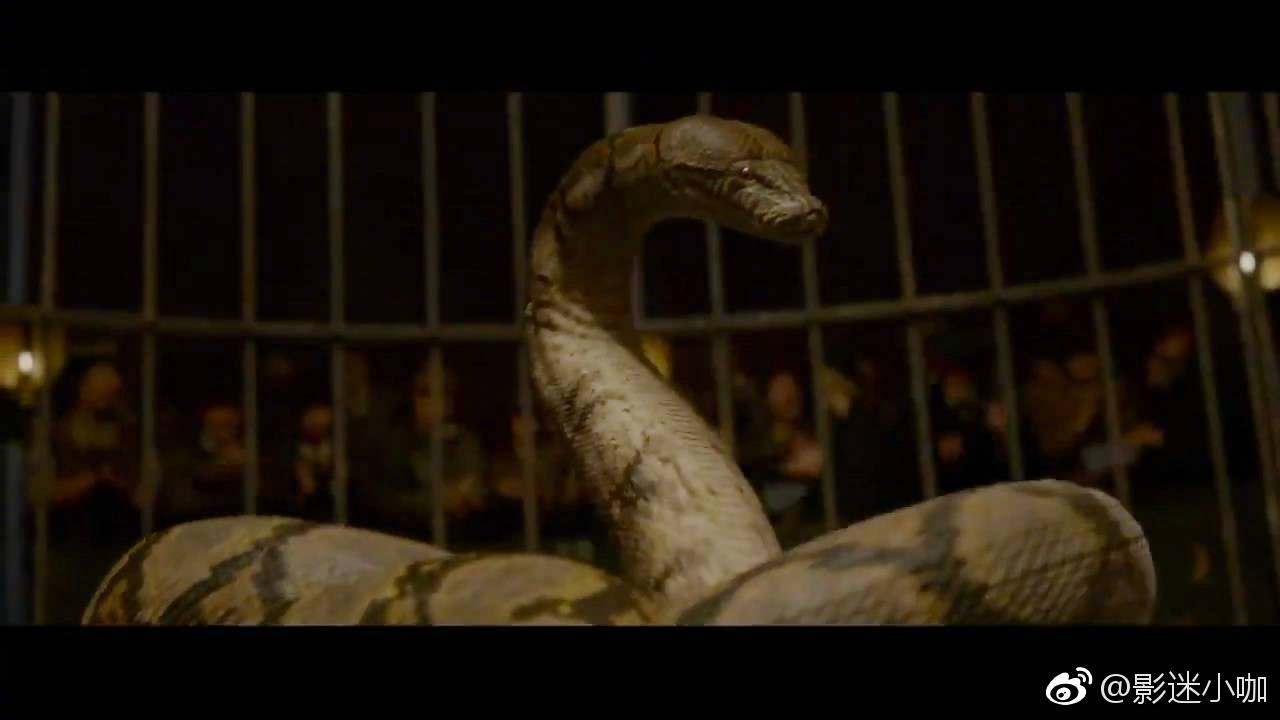 2格林德沃之罪曝光纳吉尼角色海报