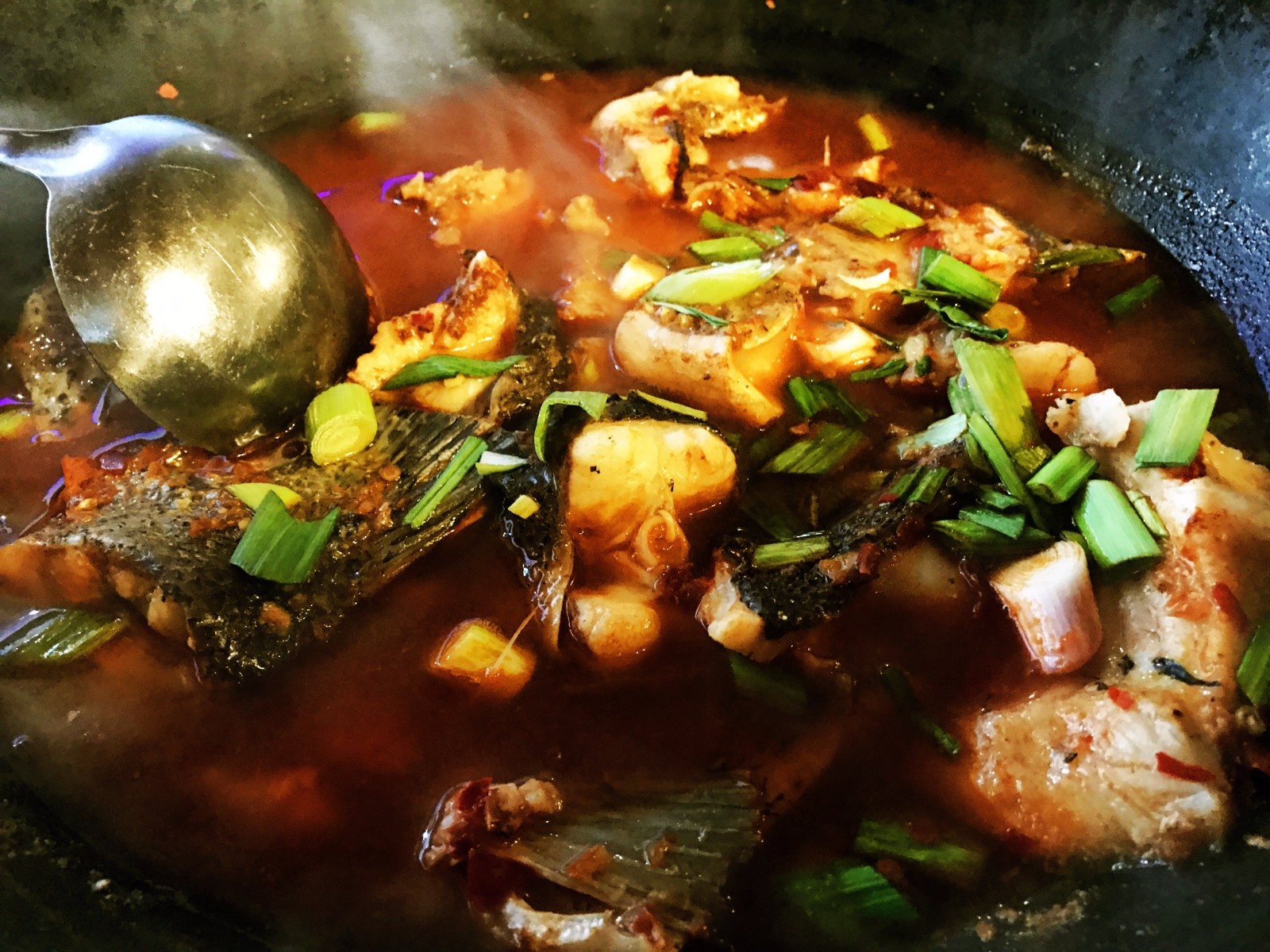 布丁:在千岛湖品有机包头鱼想到了妈妈想到了家|包头鱼|千岛湖|红烧鱼