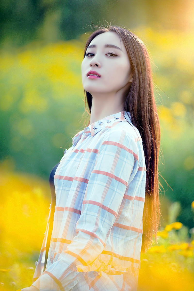 一个在金黄色野菊花边的清秀美丽女孩_新浪看点