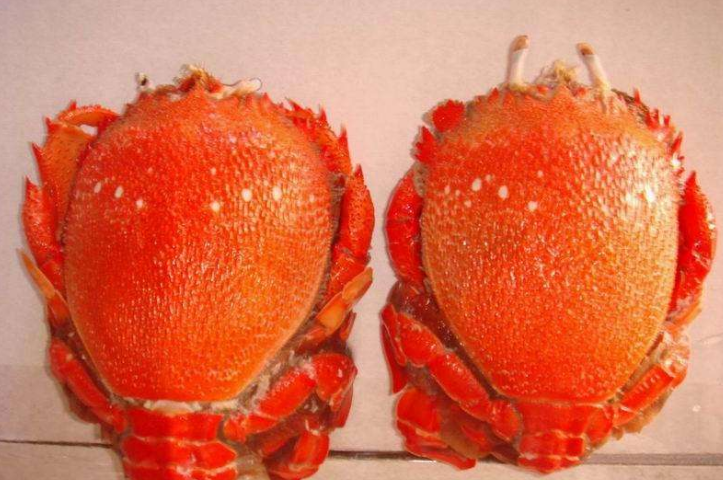 长相怪异,像蟹又像虾,看上去让人有点害怕,殊不知却是一道美味