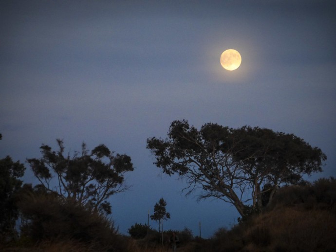 空灵万物静,朗月清风行