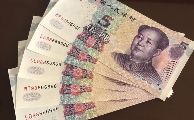 第五套人民币里面的五元纸币是我们目前在使用的,它有99版和05版,而99